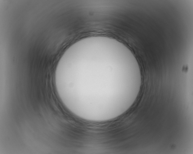 X0000112850272200908211038