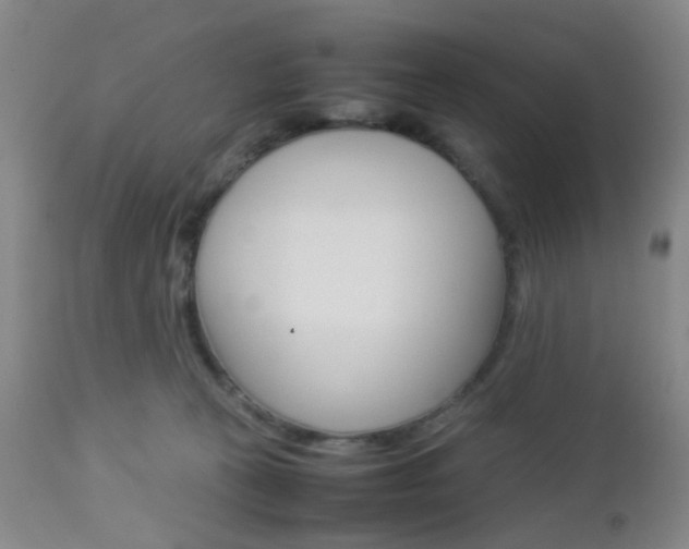 X0000112850273200908211038
