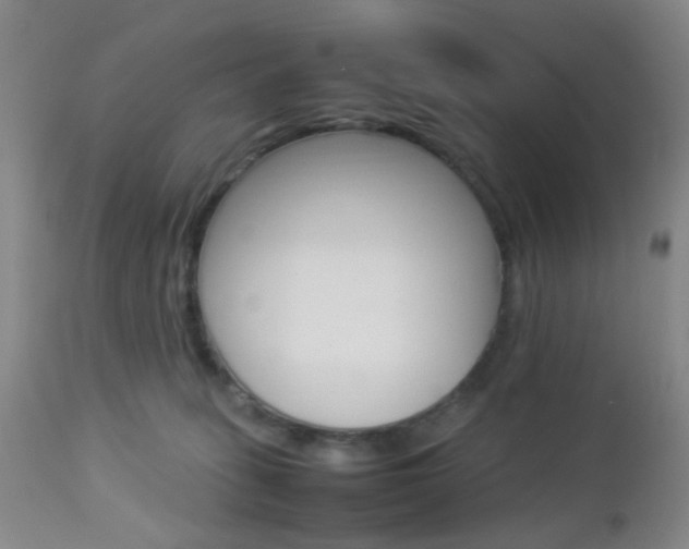 X0000112850275200908211038
