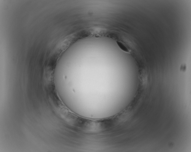 X0000112850276200908211038