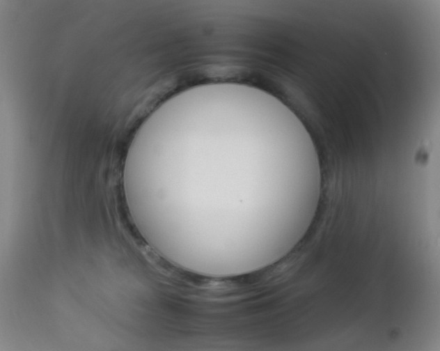 X0000112850277200908211038