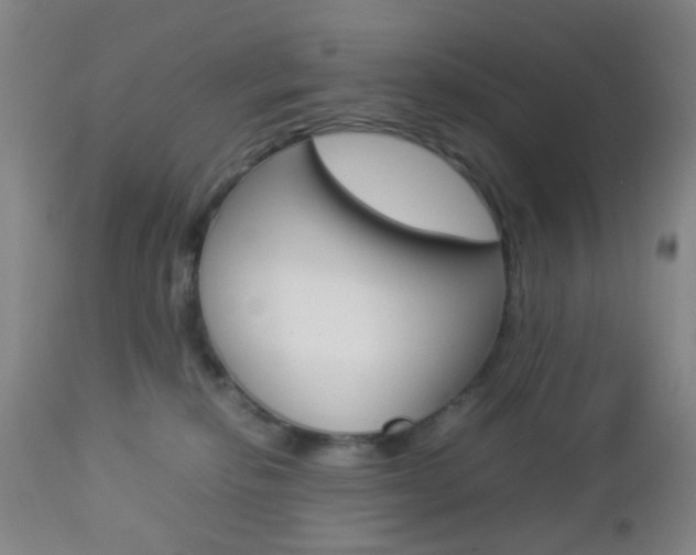 X0000112850278200908211038