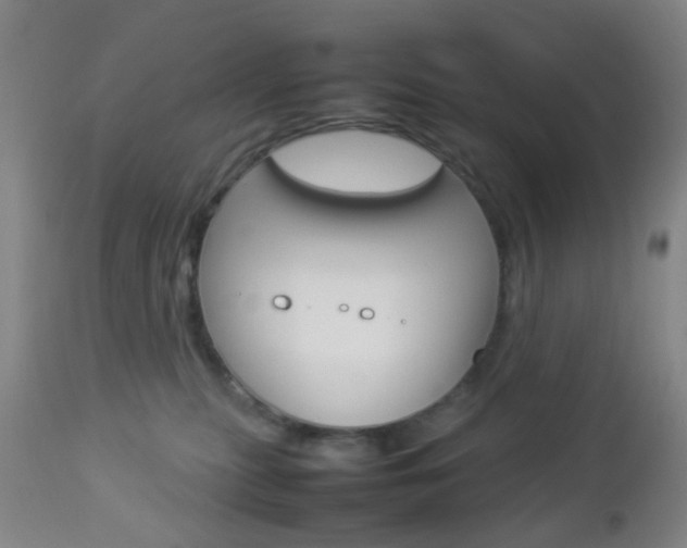 X0000112850279200908211038