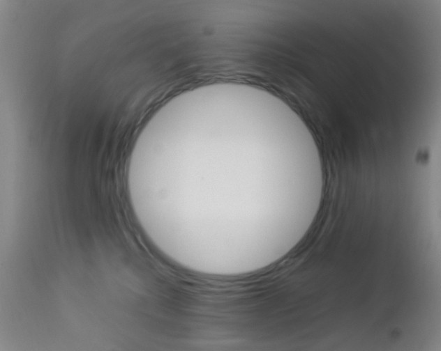 X0000112850280200908211038