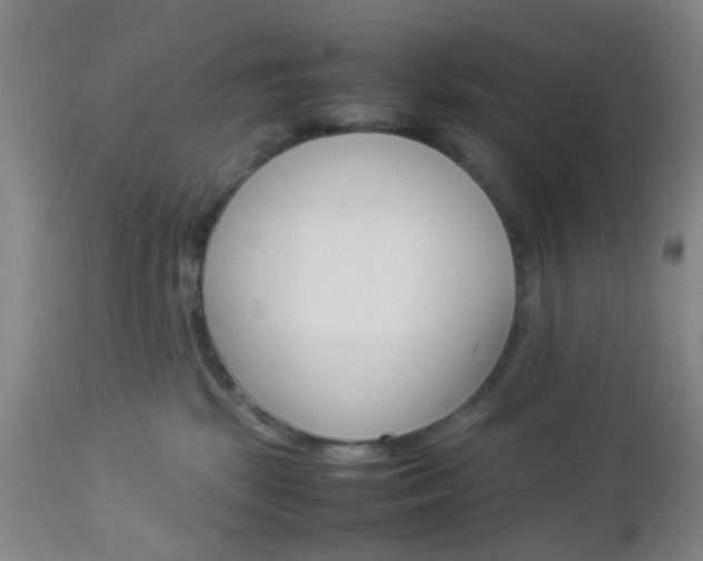 X0000112850281200908211038