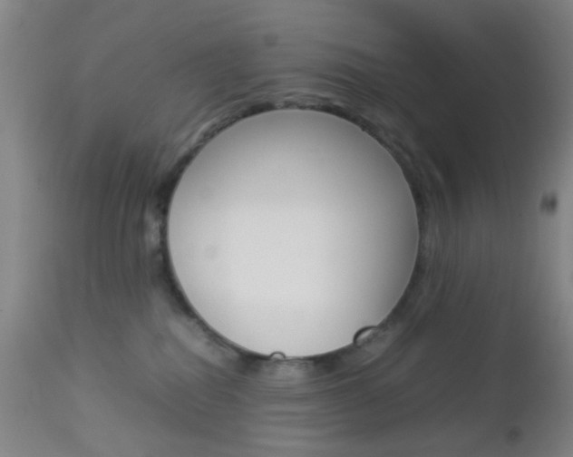 X0000112850282200908211038