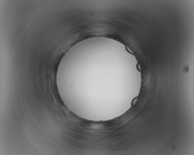 X0000112850283200908211038