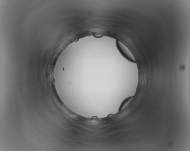 X0000112850285200908211038