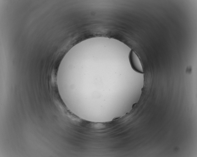 X0000112850287200908211038