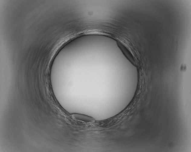 X0000112850289200908211037