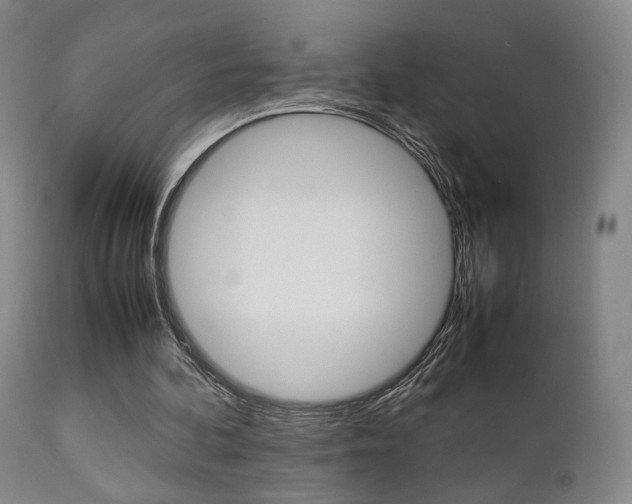 X0000112850292200908211037