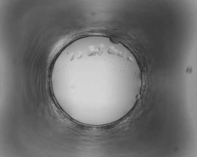 X0000112850293200908211037
