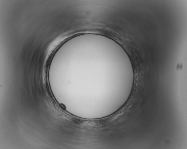 X0000112850294200908211037