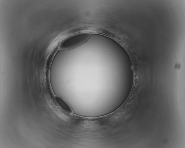 X0000112850296200908211037