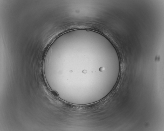 X0000112850297200908211037