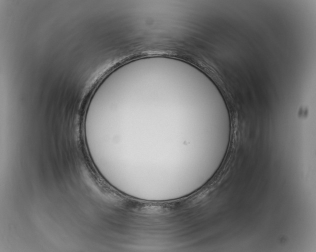 X0000112850298200908211037