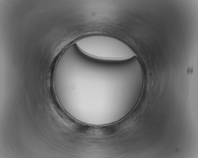 X0000112850299200908211037