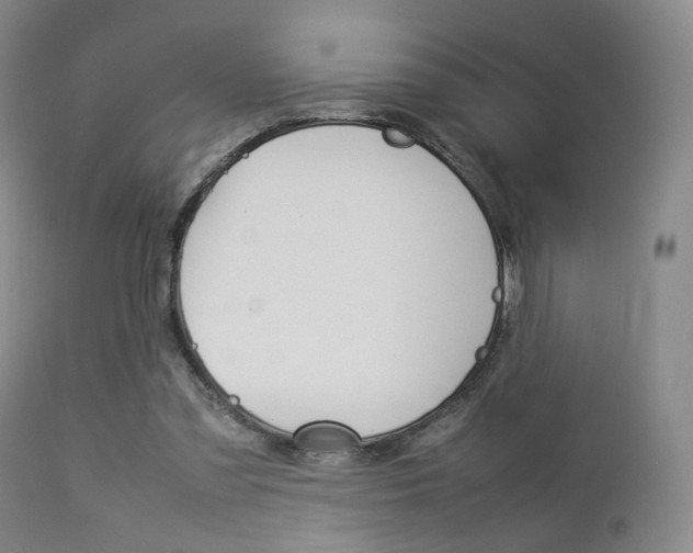 X0000112850301200908211037