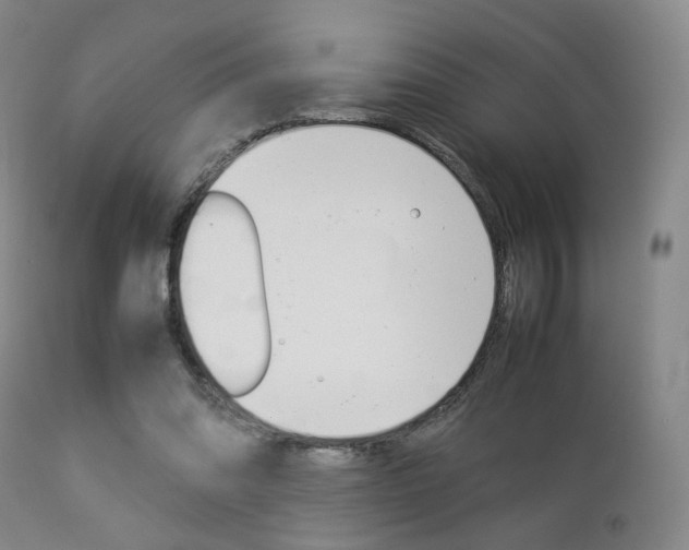 X0000112850302200908211037