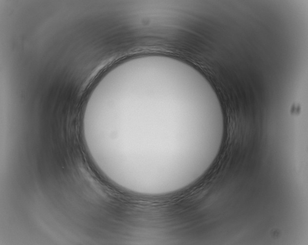 X0000112850304200908211037