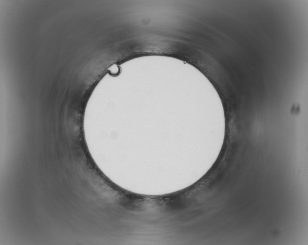 X0000112850305200908211037