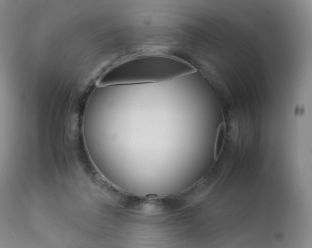 X0000112850308200908211037