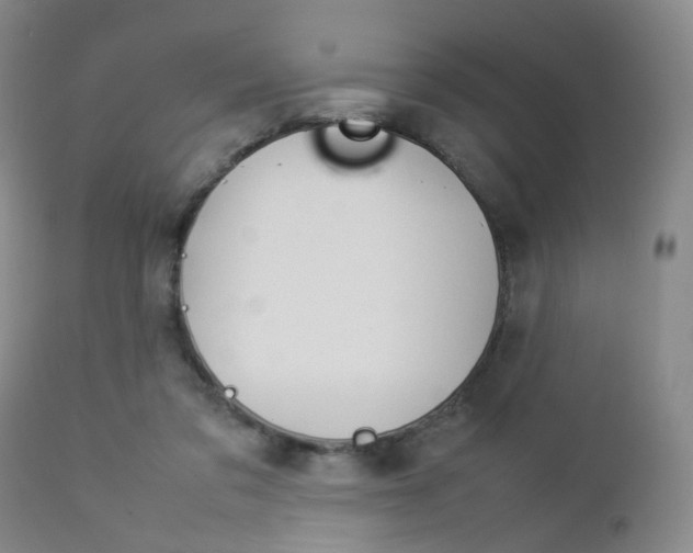 X0000112850309200908211037