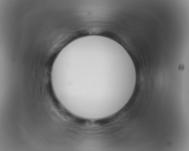 X0000112850311200908211037