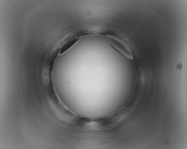 X0000112850312200908211037