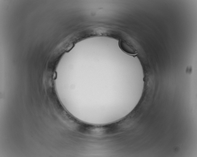 X0000112850313200908211037