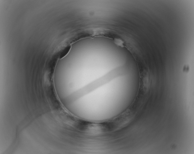 X0000112850316200908211037