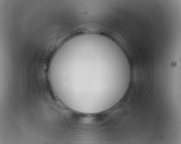 X0000112850318200908211037