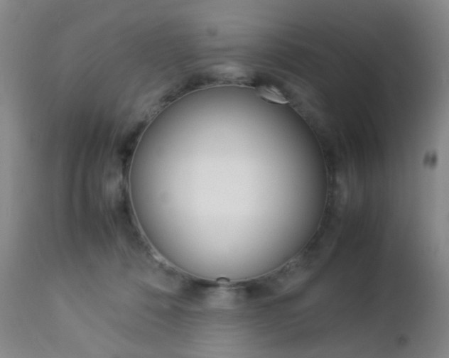 X0000112850320200908211037