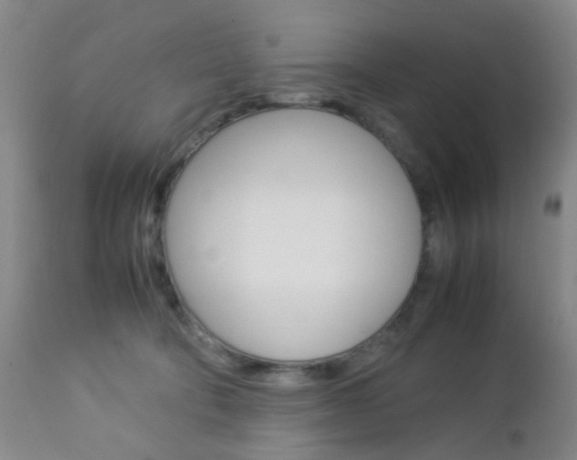 X0000112850322200908211037