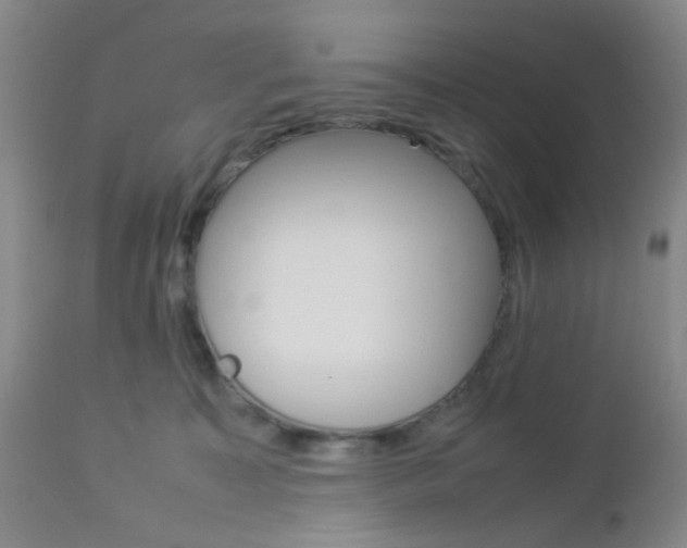 X0000112850323200908211037