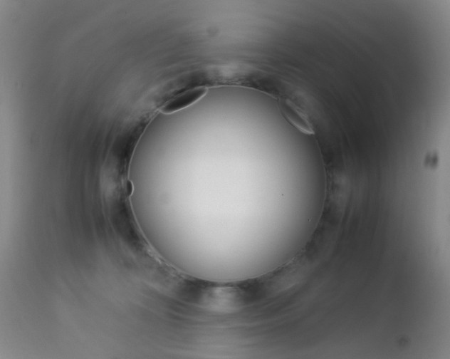 X0000112850324200908211037