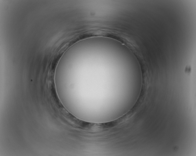 X0000112850325200908211037