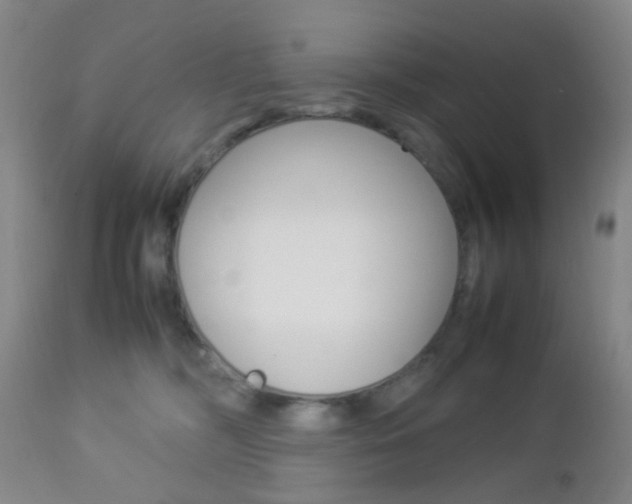 X0000112850326200908211037