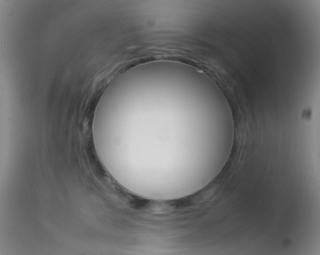 X0000112850327200908211037