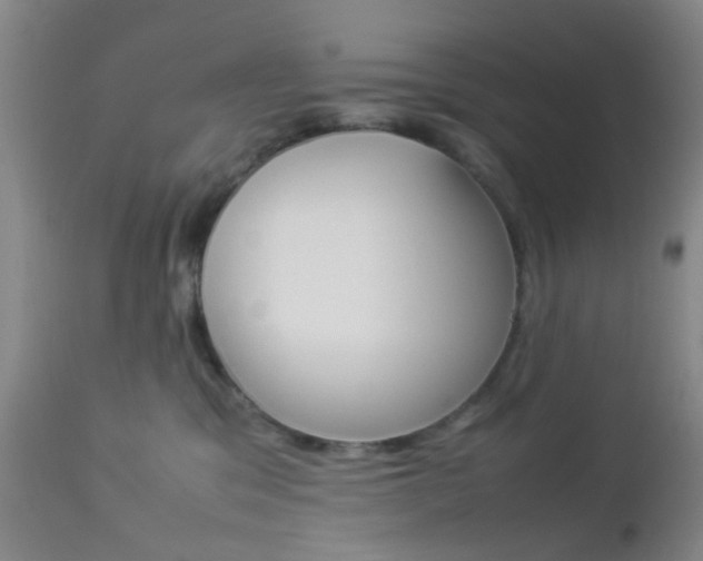 X0000112850329200908211037