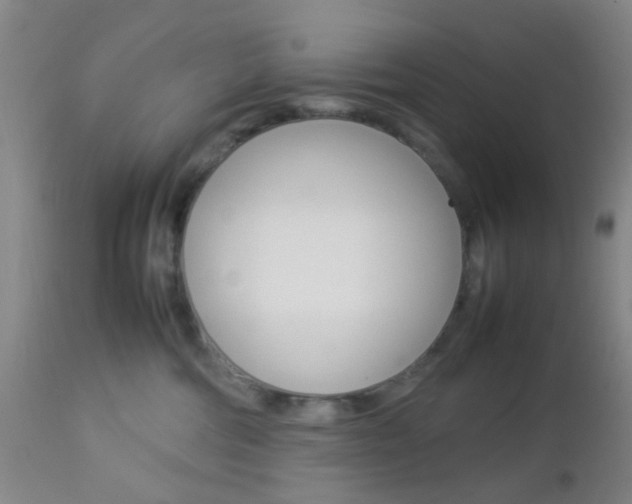 X0000112850330200908211037
