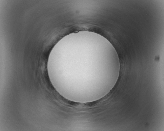 X0000112850331200908211037