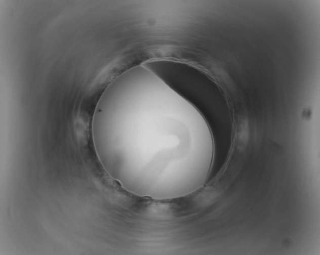 X0000112850332200908211037