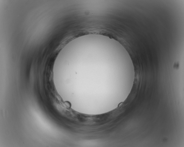 X0000112850334200908211037