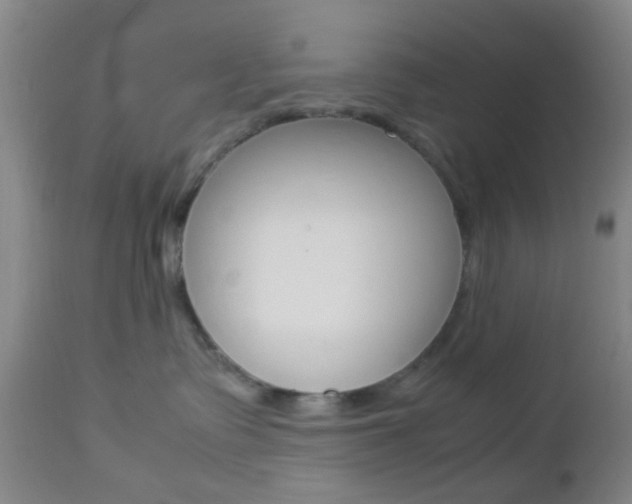 X0000112850335200908211037