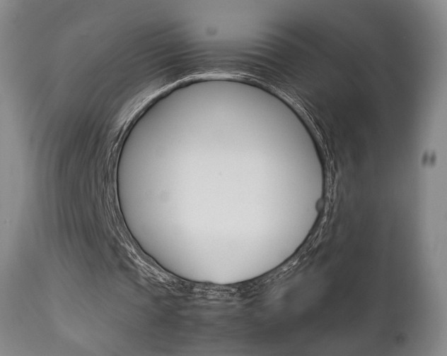 X0000112850337200908211036
