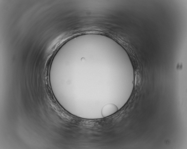 X0000112850339200908211036