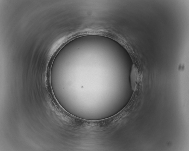 X0000112850340200908211036