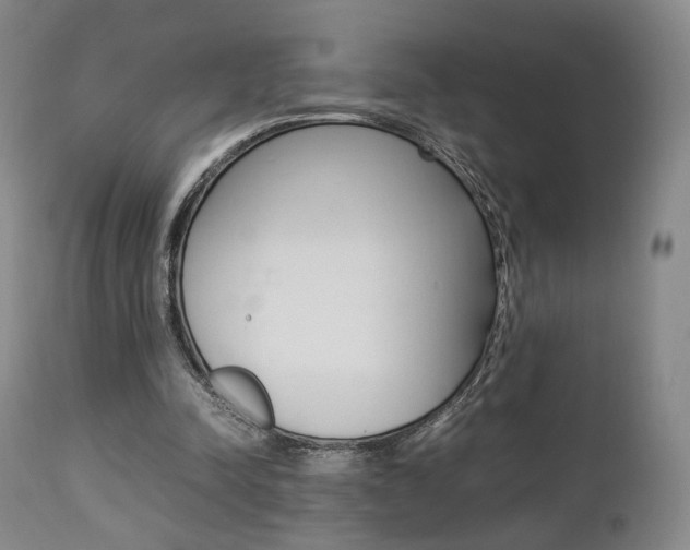 X0000112850342200908211036