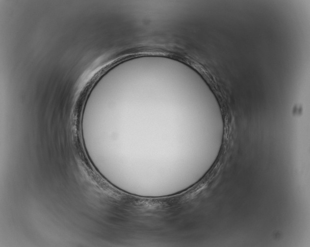 X0000112850343200908211036